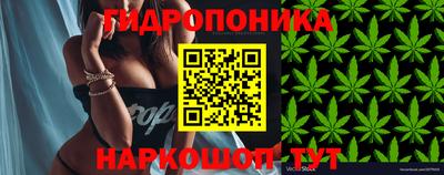 MDMA Лесосибирск