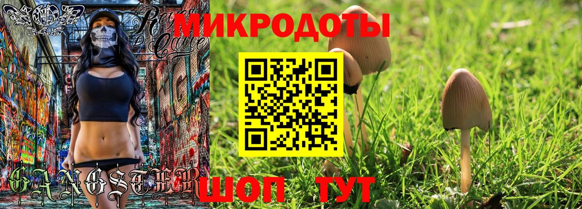 Галлюциногенные грибы Cubensis Иваново